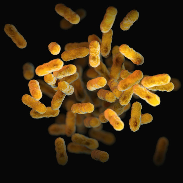 The Skin Microbiome, Skin Barrier & Visible Aging